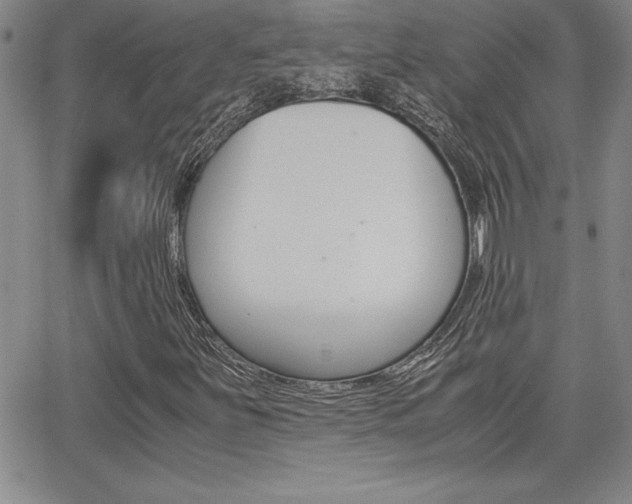 X0000062151251200512090942