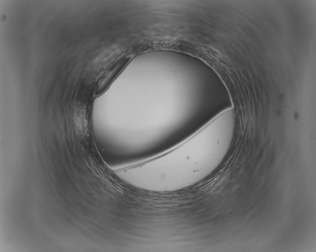 X0000062151252200512090942