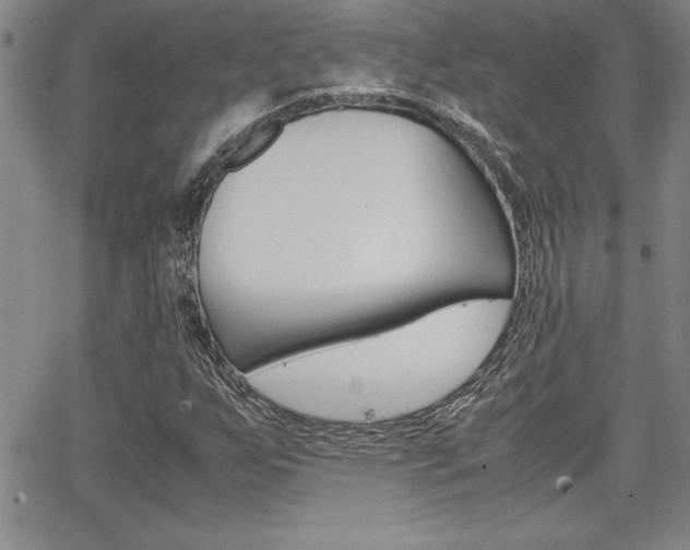 X0000062151255200512090942