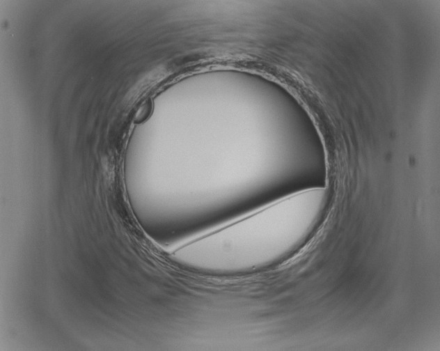 X0000062151257200512090942