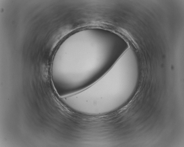 X0000062151260200512090942