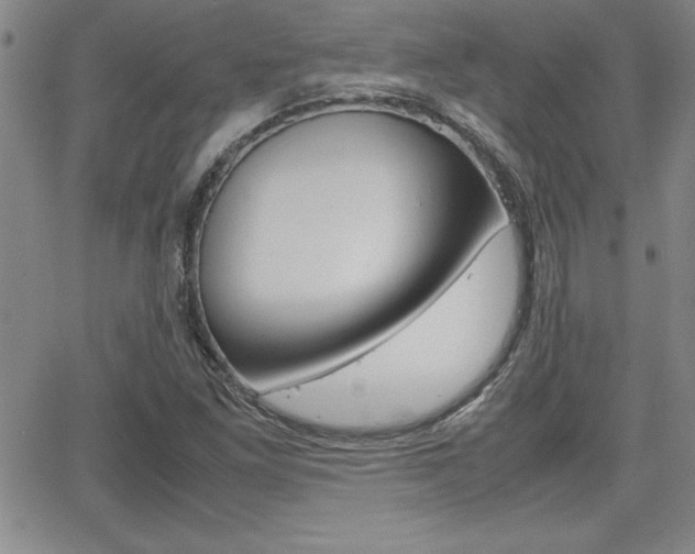 X0000062151261200512090942
