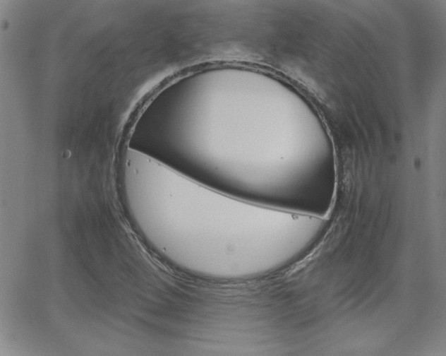 X0000062151264200512090942