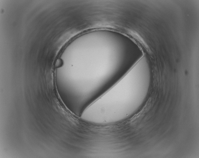X0000062151268200512090941