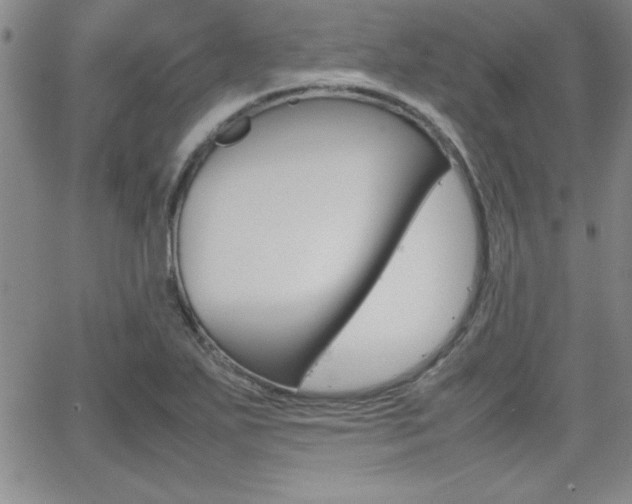 X0000062151271200512090941