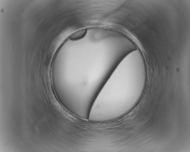 X0000062151291200512090941