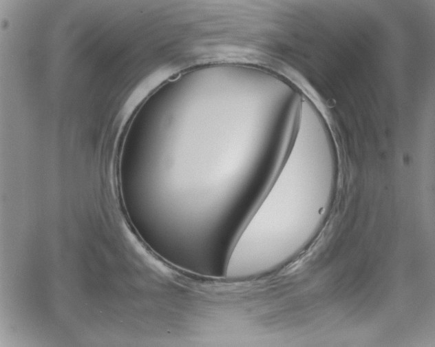 X0000062151293200512090941