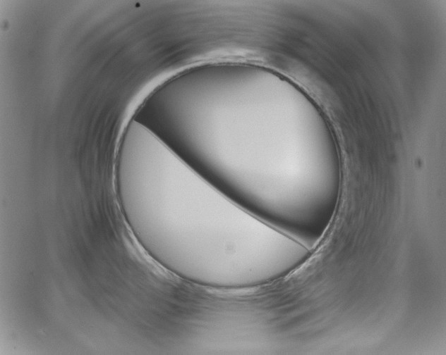 X0000062151296200512090941