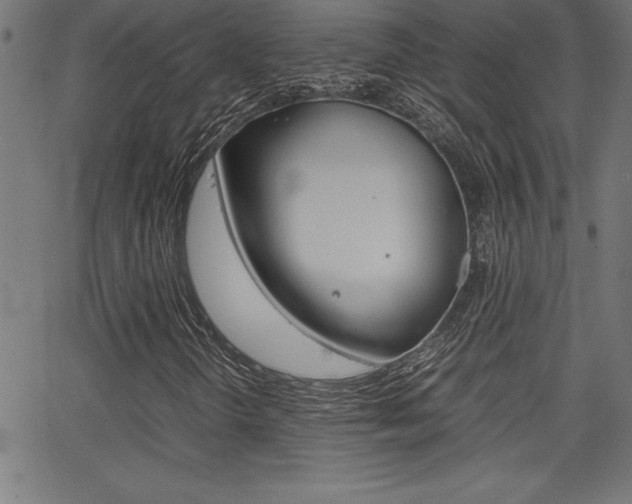 X0000062151298200512090940