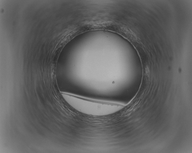 X0000062151300200512090940