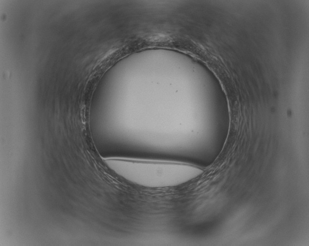 X0000062151301200512090940