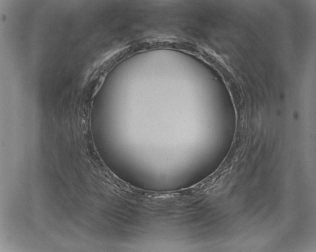 X0000062151303200512090940