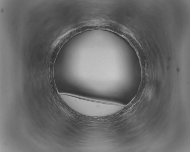 X0000062151304200512090940