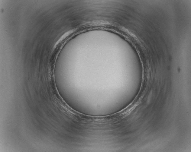 X0000062151306200512090940