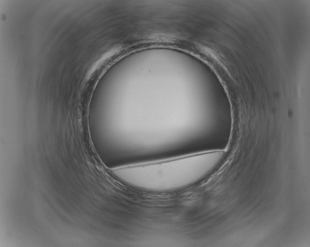 X0000062151307200512090940