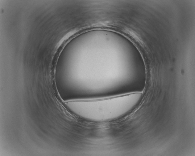 X0000062151308200512090940