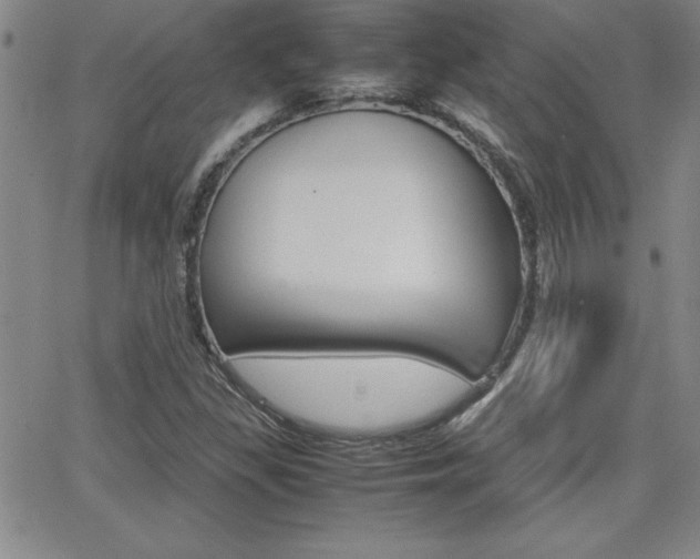 X0000062151309200512090940
