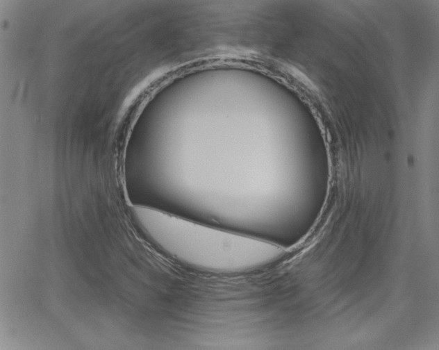 X0000062151310200512090940