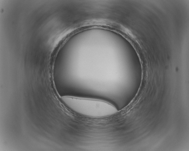 X0000062151312200512090940