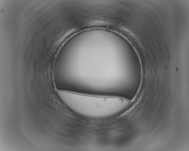 X0000062151313200512090940