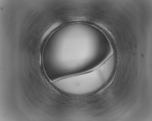 X0000062151317200512090941
