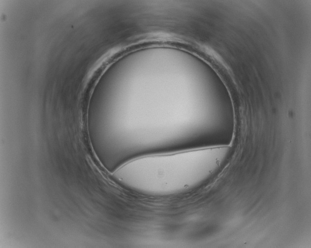 X0000062151318200512090941