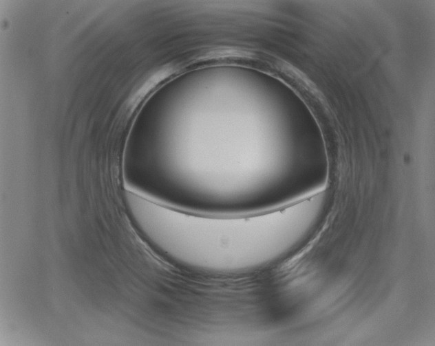 X0000062151321200512090941
