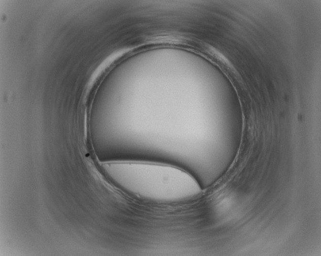 X0000062151323200512090941