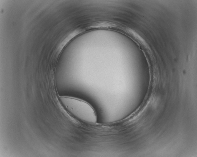 X0000062151329200512090941
