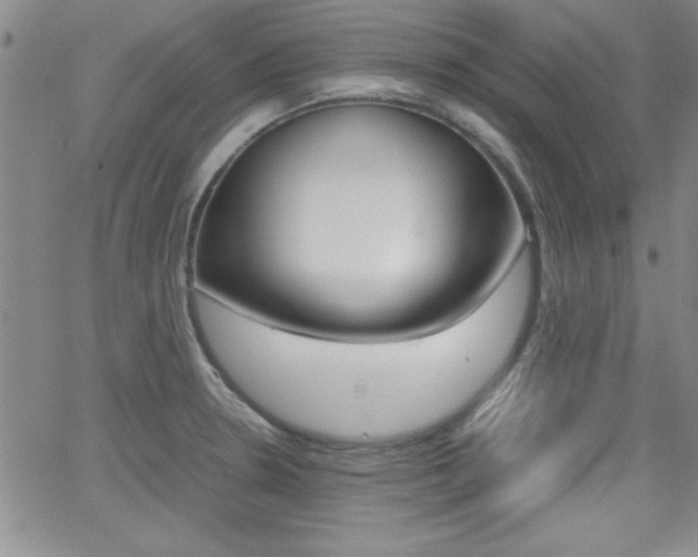 X0000062151330200512090941