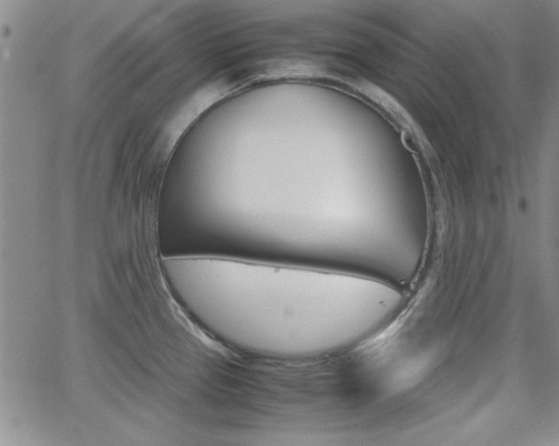 X0000062151337200512090941