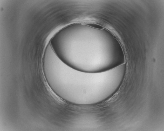 X0000062151344200512090941