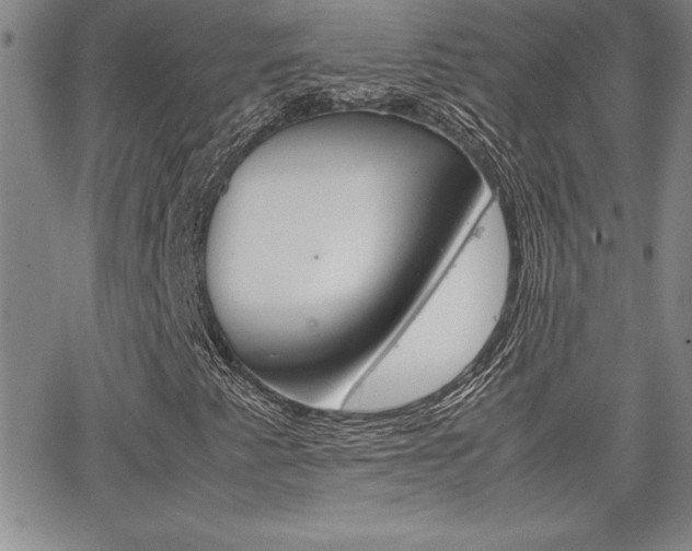 X0000062151345200512090940