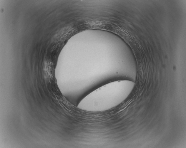X0000062151346200512090940