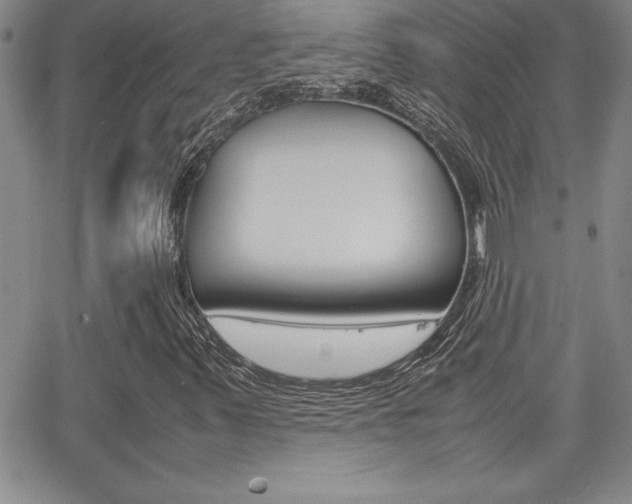 X0000062151347200512090940