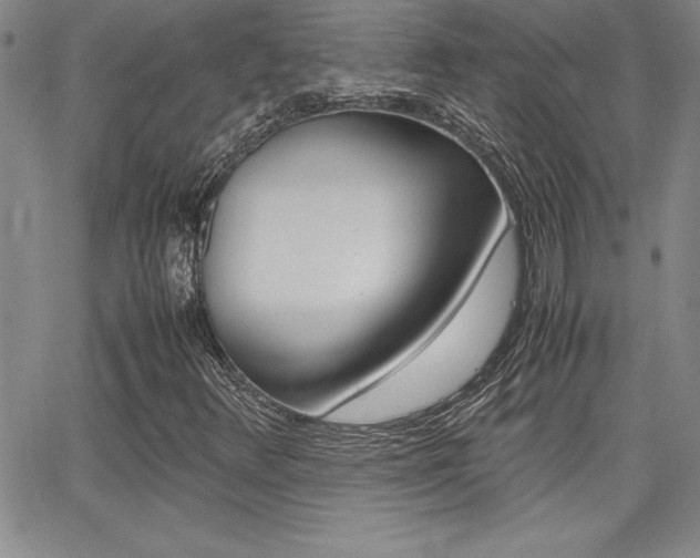 X0000062151348200512090940