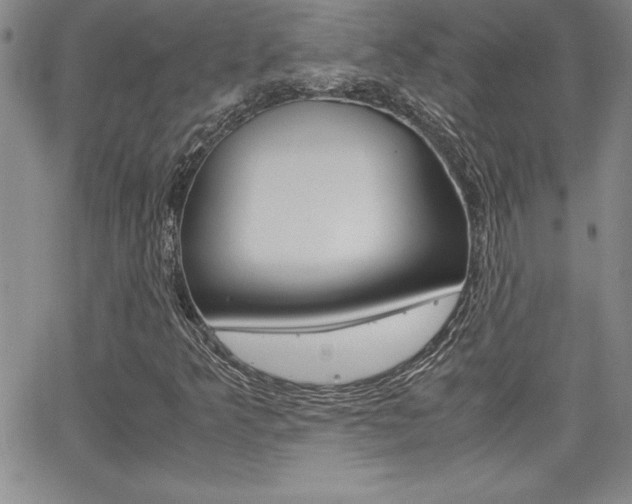 X0000062151349200512090940