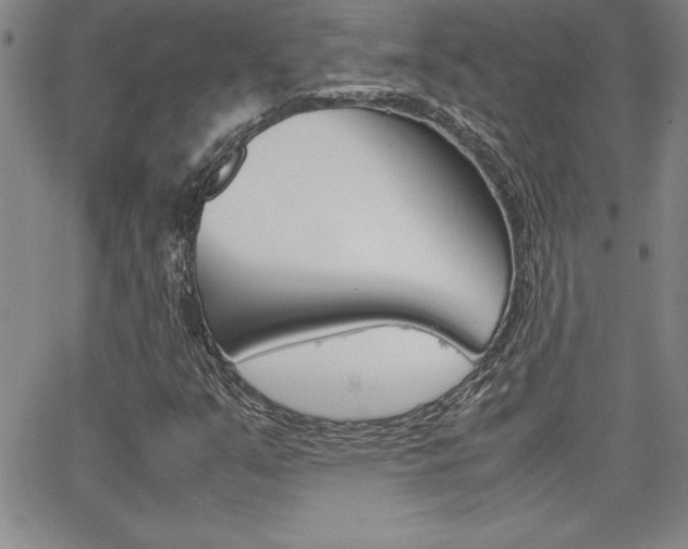 X0000062151351200512090940