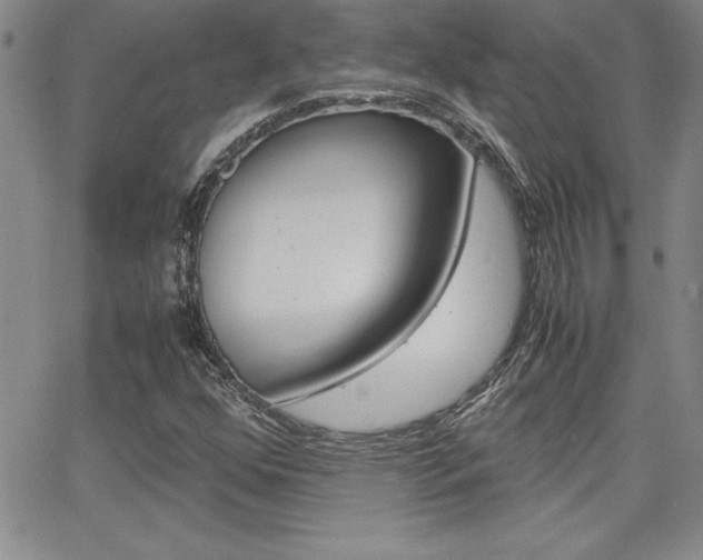 X0000062151352200512090940