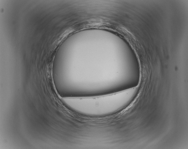 X0000062151353200512090940