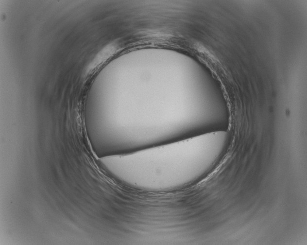 X0000062151354200512090940