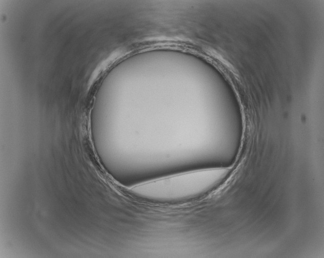 X0000062151357200512090940