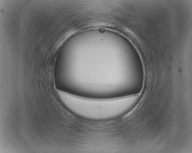 X0000062151361200512090940