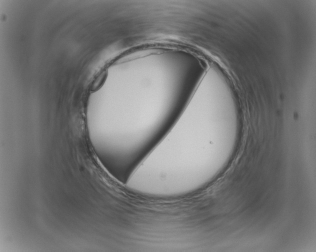 X0000062151363200512090940