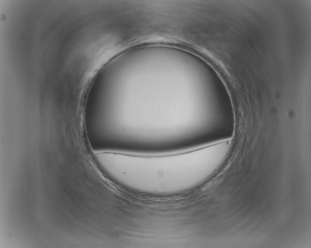 X0000062151367200512090940