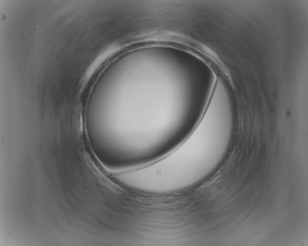 X0000062151368200512090940
