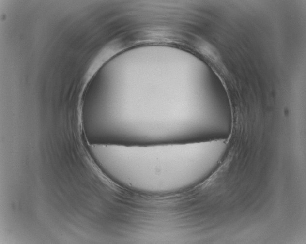 X0000062151370200512090940