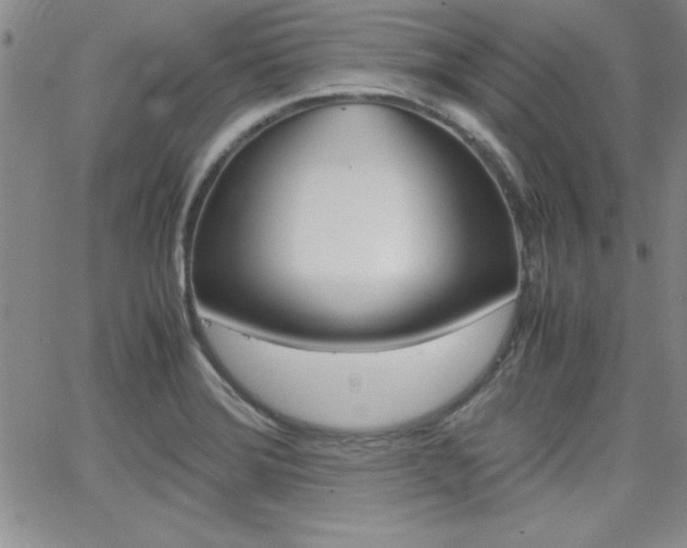 X0000062151372200512090940