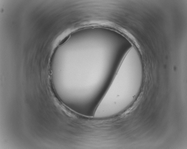 X0000062151373200512090940