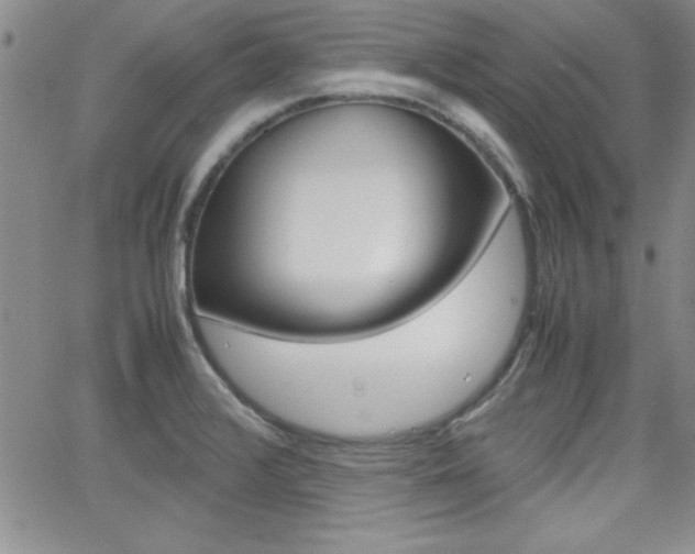 X0000062151376200512090940